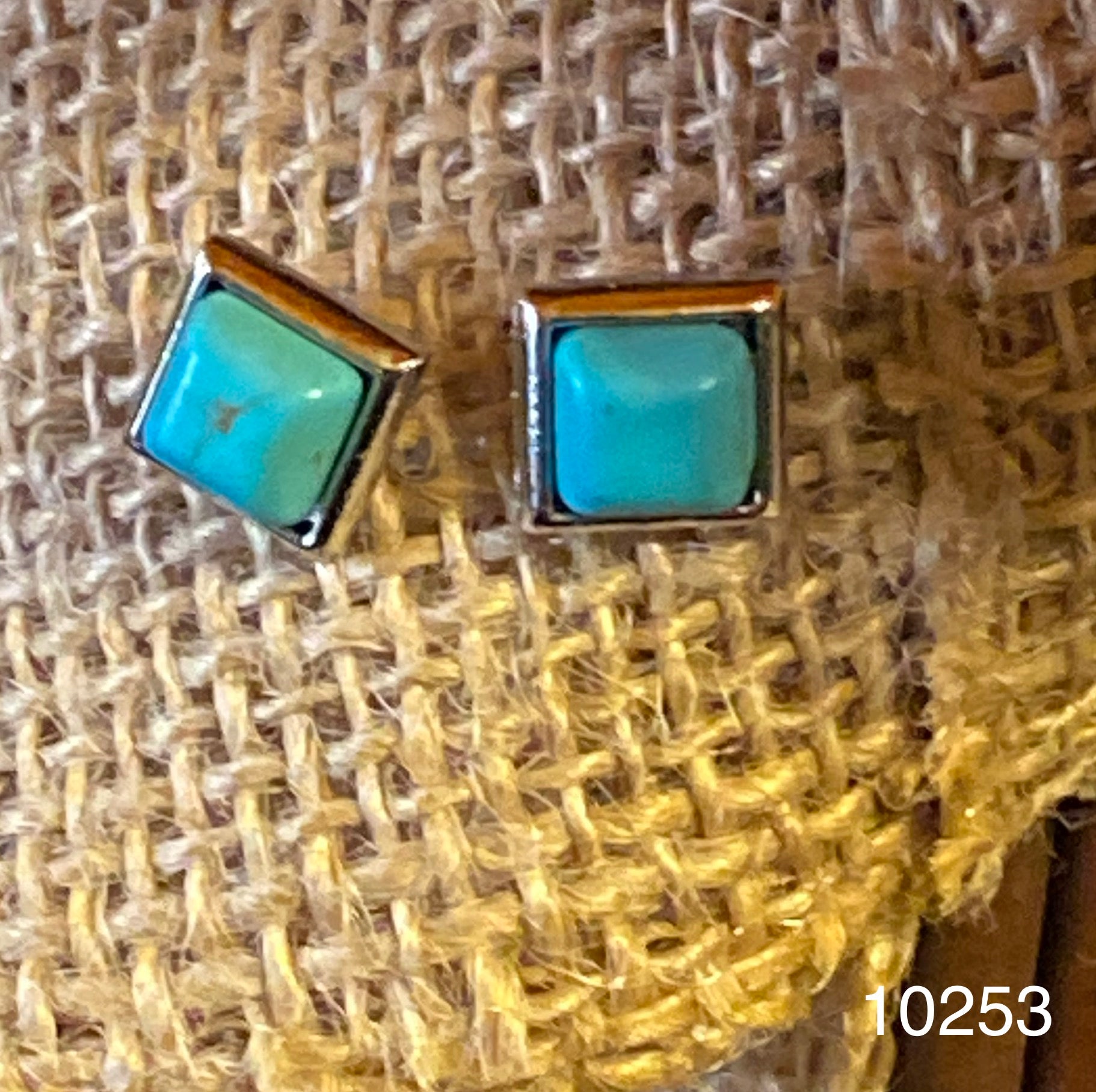 Turquoise Canyon Stud Earrings